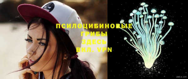 прущий лед Лагань