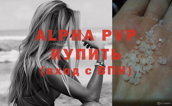 стаф Ладушкин