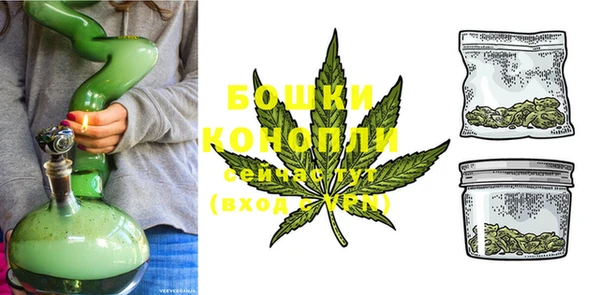 стаф Ладушкин