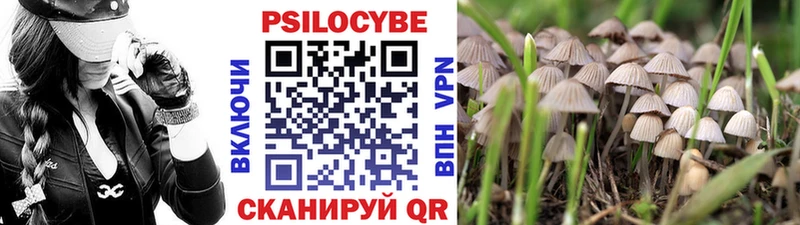 Псилоцибиновые грибы Psilocybine cubensis  Купить где  Северская 